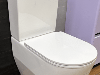 pro toilet